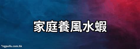 養三條金魚|風水 